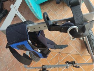 Silla de ruedas para perro grande