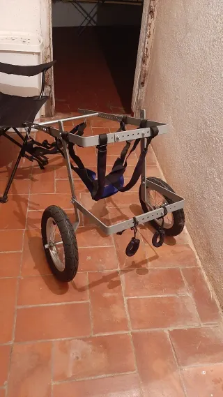 Silla de ruedas para perro grande