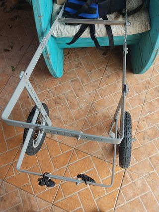 Silla de ruedas para perro grande