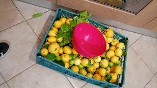 Limoni non trattati