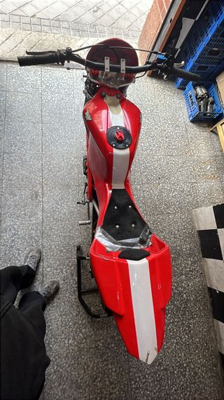 RAV 250
