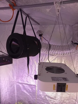 Armario de cultivo completo precio negociable