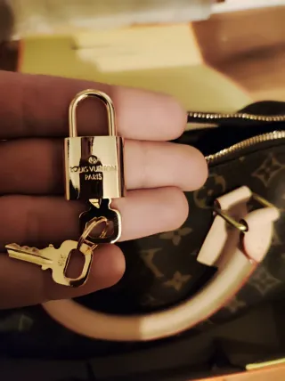 Louis Vuitton Speedy Bandoulière Monogram