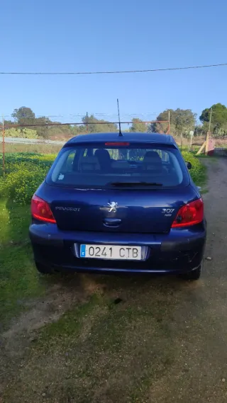 Peugeot 307 2004