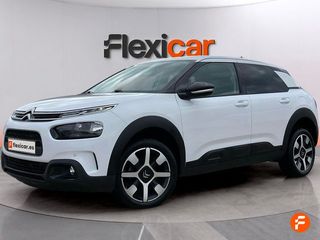 Citroën C4 Cactus BlueHDi 100 S&S Shine