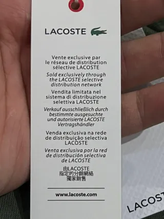 Hoodie com Capuz Lacoste Verde Tamanho S