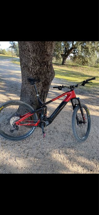 Cuadro MEGAMO Crave CRB