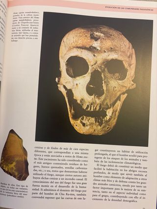 Gran historia de la humanidad ( Difusora intern.)