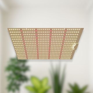 Panel LED Lucius 240W Samsung