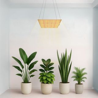 Panel LED Lucius 240W Samsung
