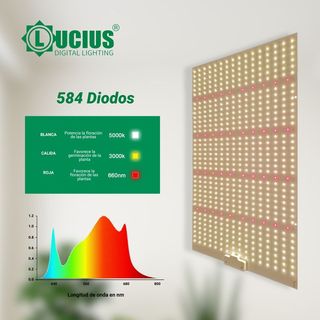 Panel LED Lucius 240W Samsung