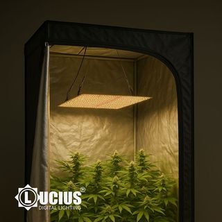 Panel LED Lucius 240W Samsung