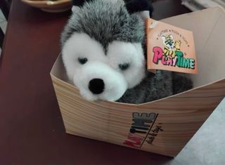 Peluche Husky Playtime Nuovo