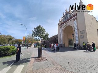 Local comercial en alquiler en Doctor Barraquer - G. Renfe - Policlínico en Sevilla