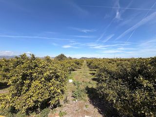 Terreno en venta en Almenara