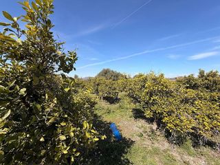 Terreno en venta en Almenara