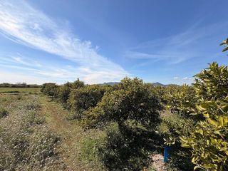 Terreno en venta en Almenara