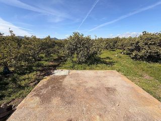 Terreno en venta en Almenara