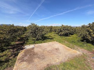 Terreno en venta en Almenara