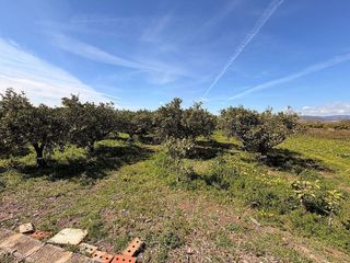 Terreno en venta en Almenara