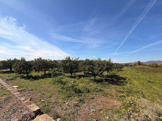 Terreno en venta en Almenara