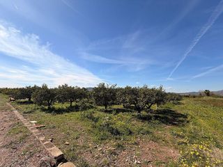 Terreno en venta en Almenara