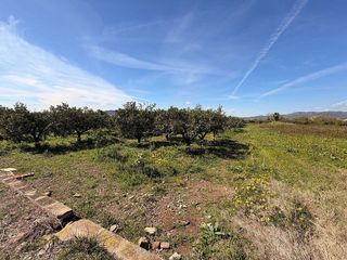 Terreno en venta en Almenara