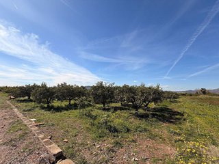 Terreno en venta en Almenara