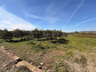 Terreno en venta en Almenara