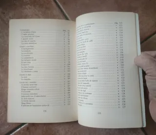 Virginia Vosgien  L'invito "chic" libro