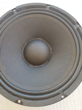 Altavoz 10 Genericos 300W AES