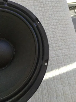 Altavoz 10 Genericos 300W AES