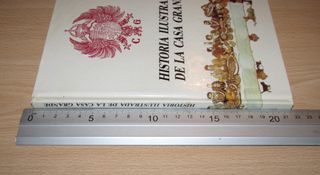 Historia ilustrada de La casa grande 1989