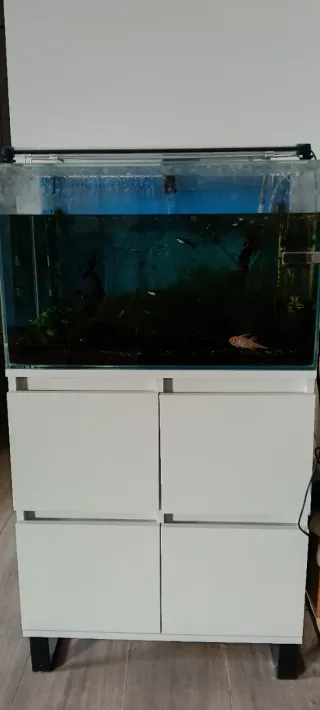 Pecera con mueble a medida