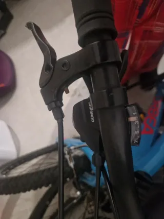 Bicicleta Orbea Junior Azul