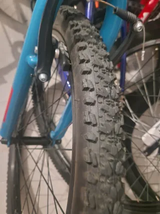 Bicicleta Orbea Junior Azul