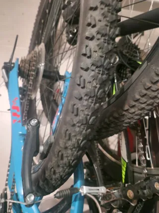 Bicicleta Orbea Junior Azul