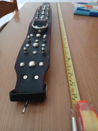 Collar de perro con tachuelas