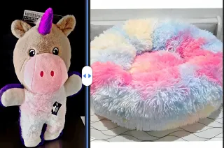 Cama Arcoíris para Mascotas 70x70x25cm + Juguete