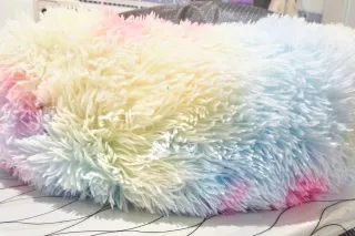 Cama Arcoíris para Mascotas 70x70x25cm + Juguete