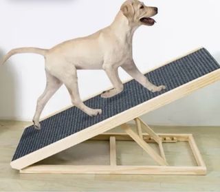 Rampa para perros gris