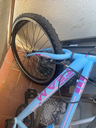 Bicicleta azul y rosa