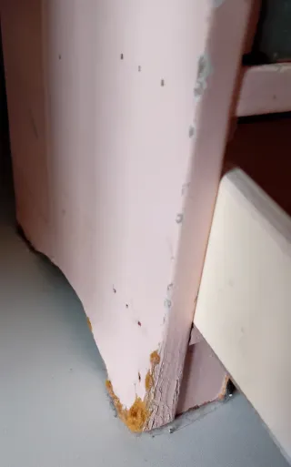 Armario para muñecas rosa con mariposa y pájaro