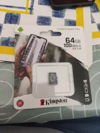 10 Schede Micro SD Kingston 64GB