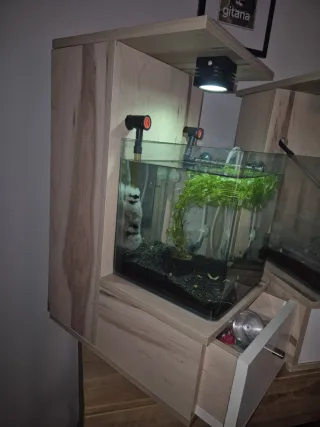 Acuario completo depuradora burbujeo calentador