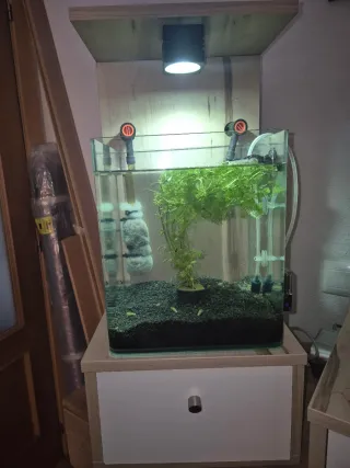 Acuario completo depuradora burbujeo calentador
