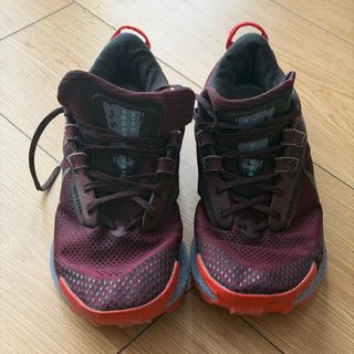 Nike Pegasus Trail 3 Roxo/Vermelho