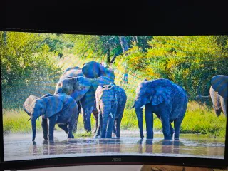 Pack 2 Monitores AOC