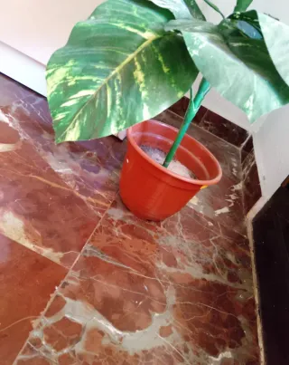 Planta Artificial Decorativa 110cm