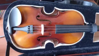 Violín con estuche y arco
